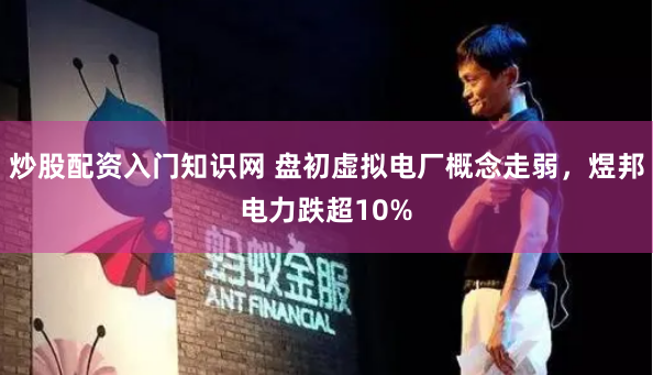 炒股配资入门知识网 盘初虚拟电厂概念走弱，煜邦电力跌超10%