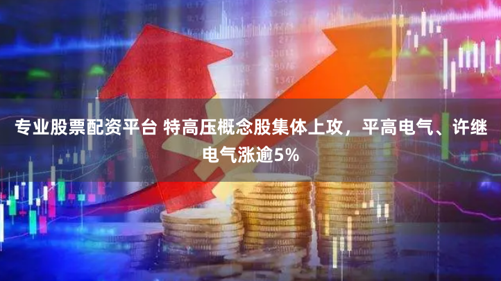 专业股票配资平台 特高压概念股集体上攻，平高电气、许继电气涨逾5%