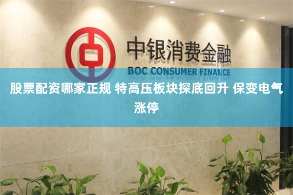 股票配资哪家正规 特高压板块探底回升 保变电气涨停