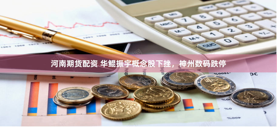 河南期货配资 华鲲振宇概念股下挫，神州数码跌停