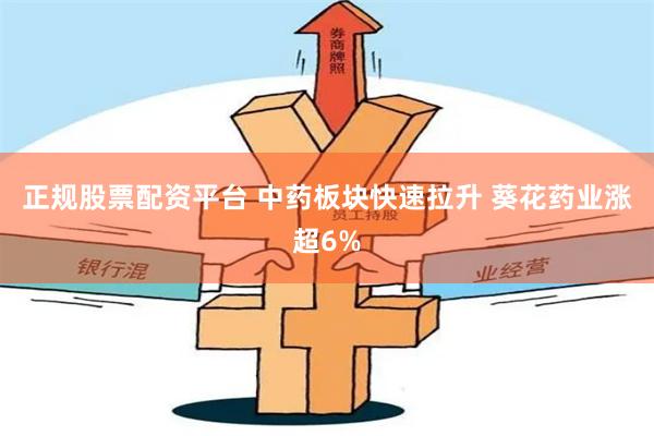 正规股票配资平台 中药板块快速拉升 葵花药业涨超6%