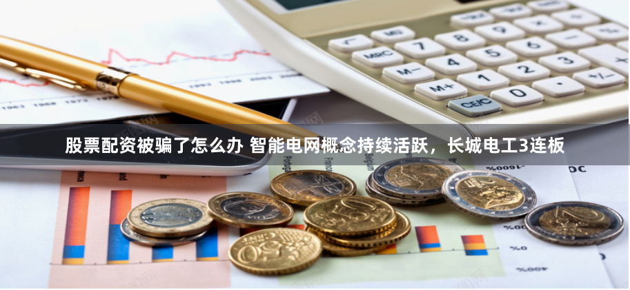 股票配资被骗了怎么办 智能电网概念持续活跃，长城电工3连板