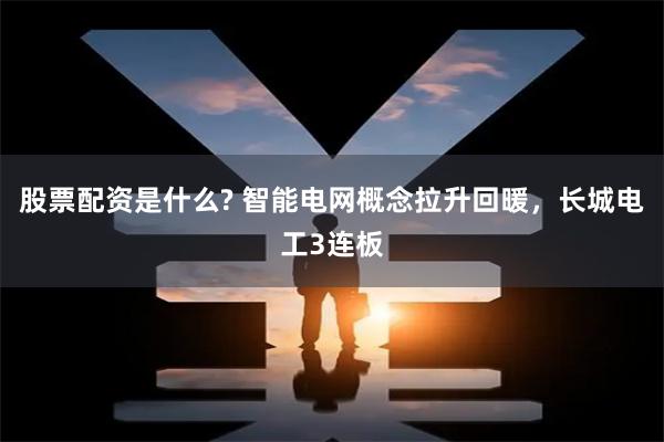 股票配资是什么? 智能电网概念拉升回暖，长城电工3连板