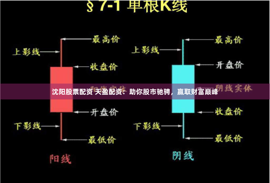 沈阳股票配资 天盈配资：助你股市驰骋，赢取财富巅峰