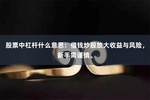 股票中杠杆什么意思：借钱炒股放大收益与风险，新手需谨慎。